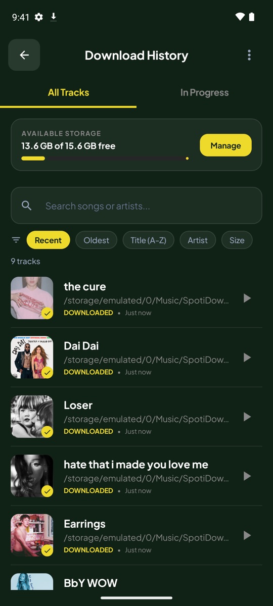 SpotiDown Download History and Storage Manager