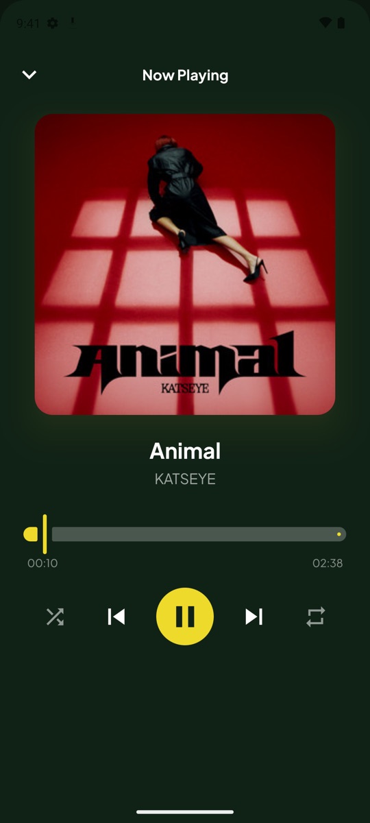SpotiDown Built-In Offline Music Player