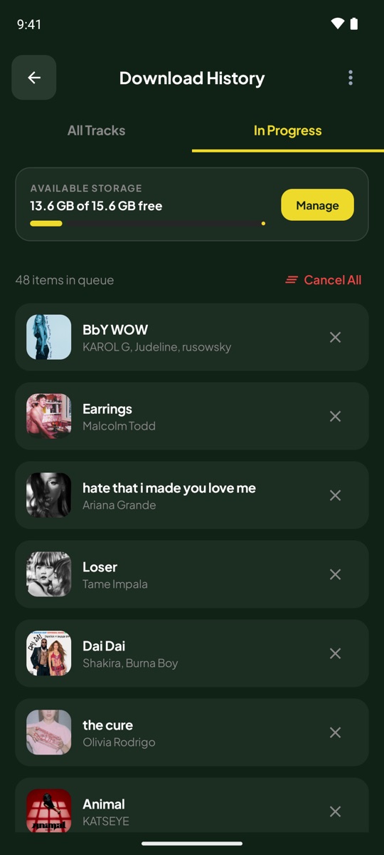 SpotiDown Active Download Queue & Storage Progress